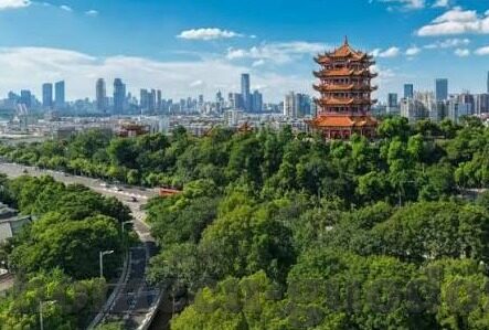 豆芽视频app下载安装糖心-下载豆芽视频app，尽享精彩视频世界