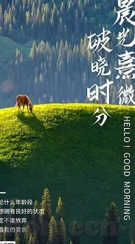 麻豆av 在线播放-网络世界的窗口——探索麻豆AV在线观看的多元化体验